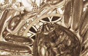 maindish^ME^18.0~14.0cm^2009