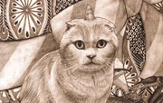 okoge^ME^18.0~14.0cm^2009