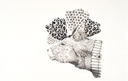 TALES^pencil on paper^72.3~103.0cm^2011